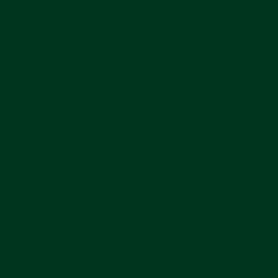 Сплошная пленка Oracal Темно-зеленый 060