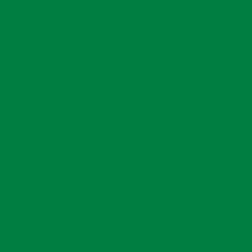 Сплошная пленка Oracal Светло-зеленый 062